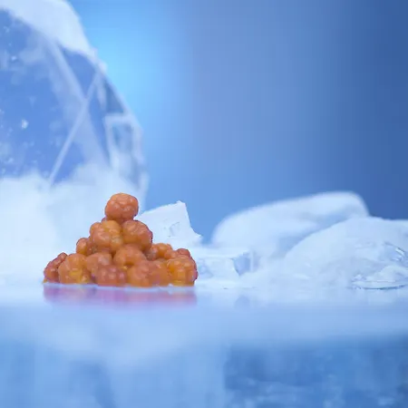 מלון Sorrisniva Igloo