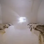 سوريسنيفا إيغلو